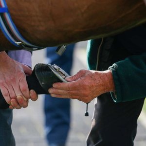 Ian Wood gives us the guide he wishes he’d had as a trainer