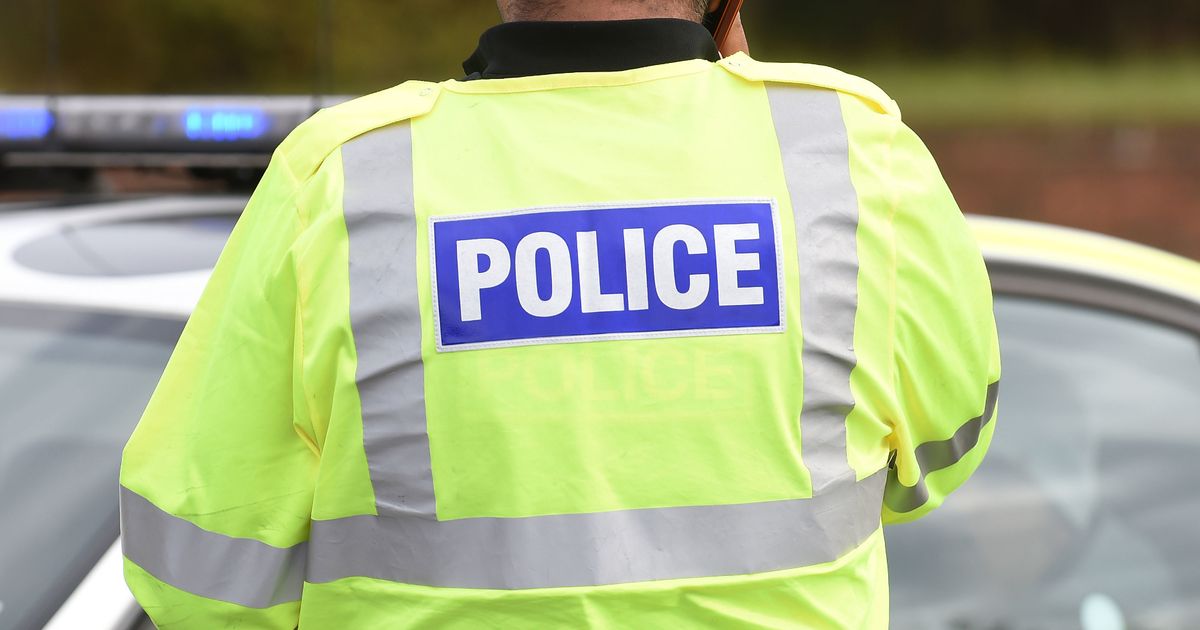 Horse dies in fatal crash near Essex roundabout