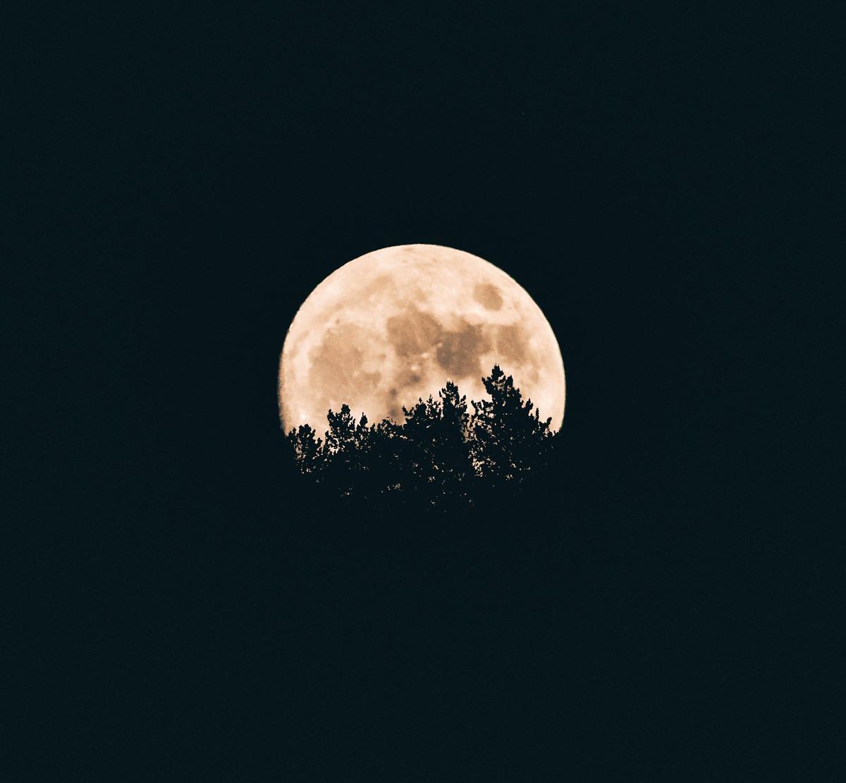Louisiana, Texas About to See Most Massive and Brightest Full Moon of 2025