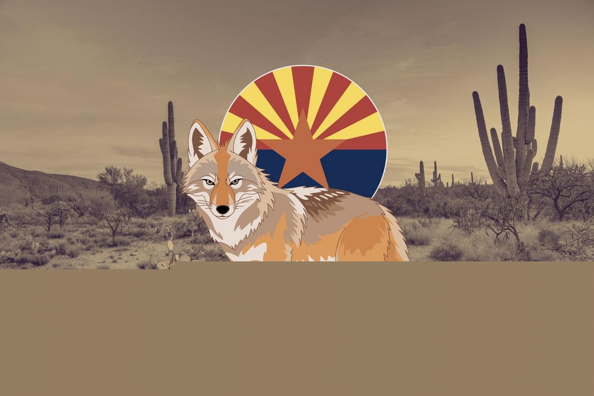 The Coyote In Apache Folklore, A Trickster, A Teacher, A Warning