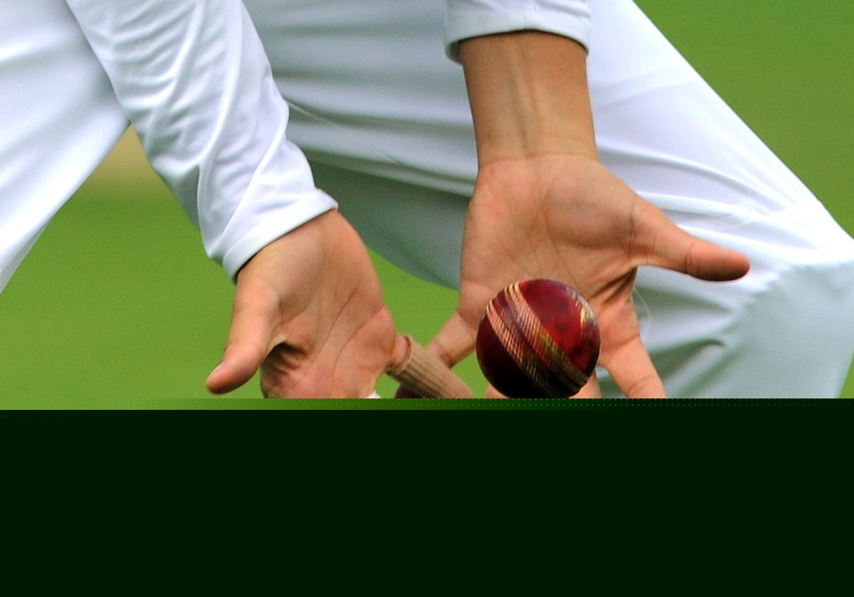 Amateur cricket match goes viral after cheating allegation