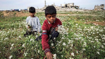 Tanpa Pendidikan, Anak-anak di Gaza Terancam Jadi Generasi yang Hilang