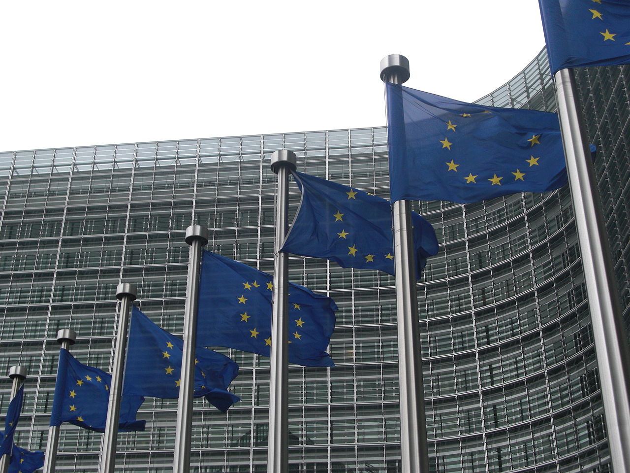 UN expert urges the EU to better protect minority rights within its borders