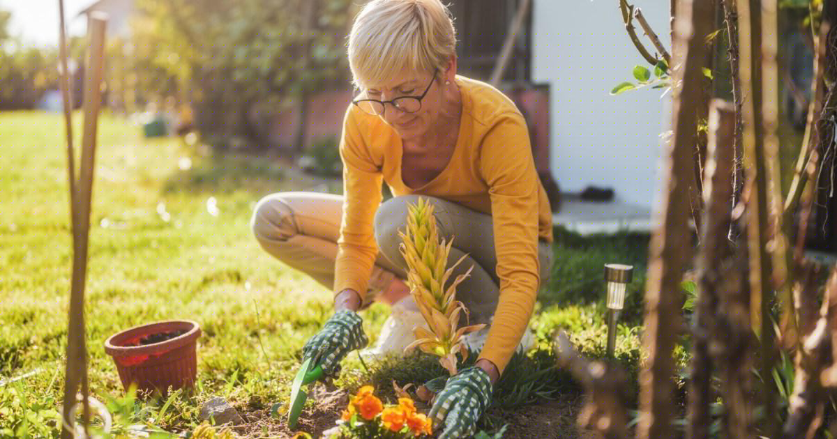 Another heatwave is coming — protect your garden from wildfires
