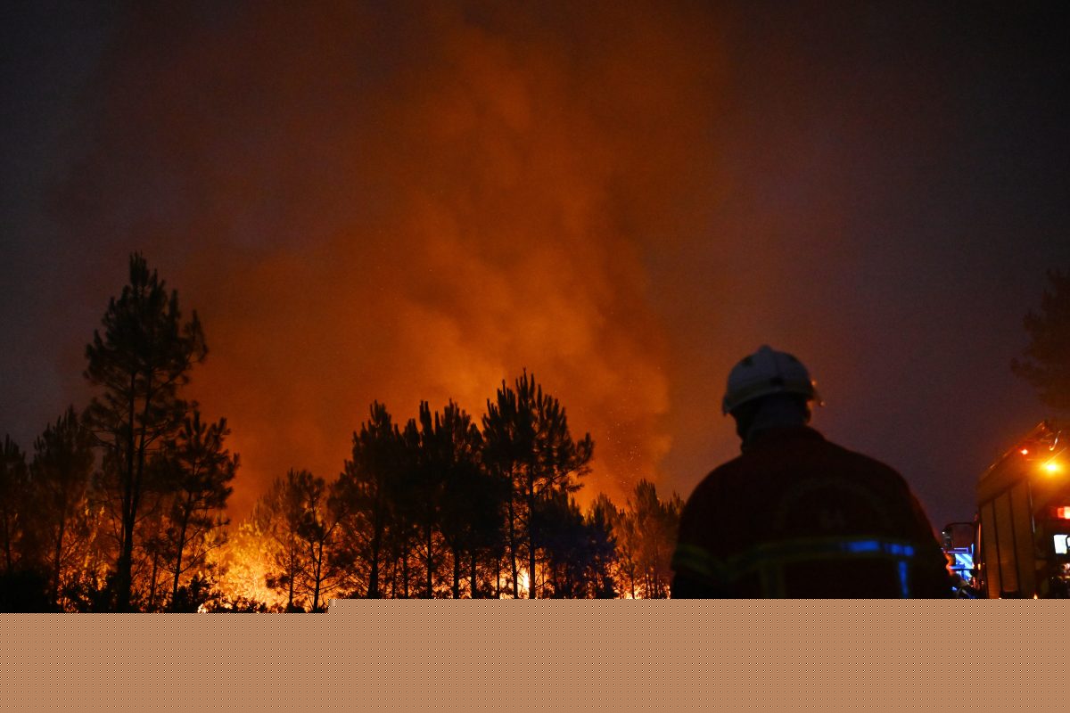 El Nino heatwaves to ‘fuel inflation next year’