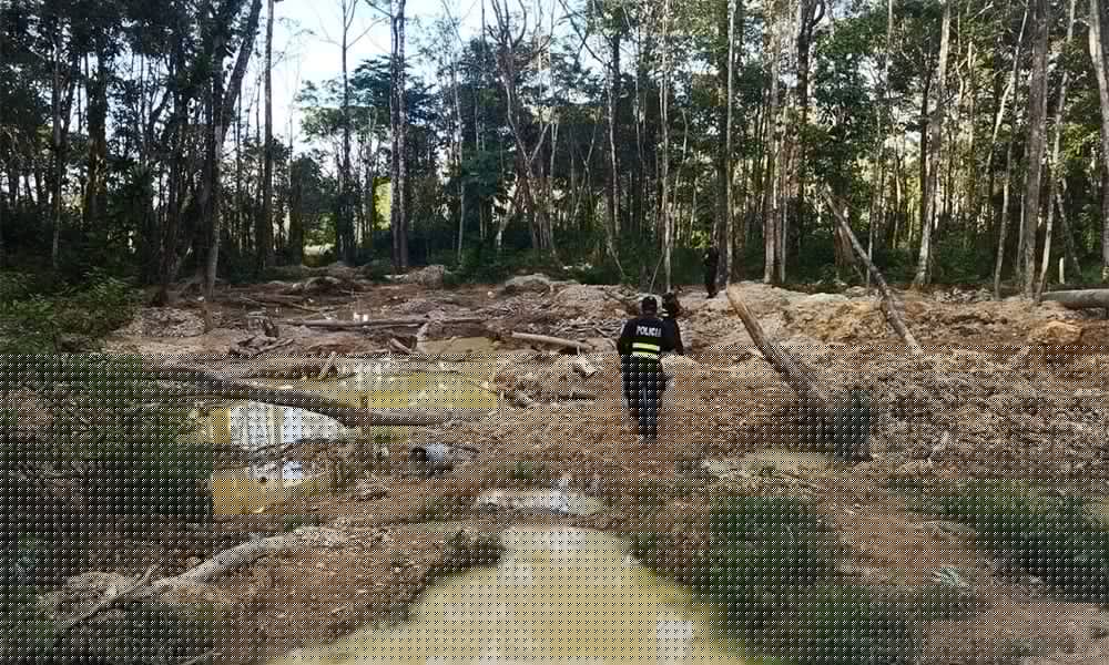 Costa Rica Moves to Treat Illegal Mining as Organized Crime