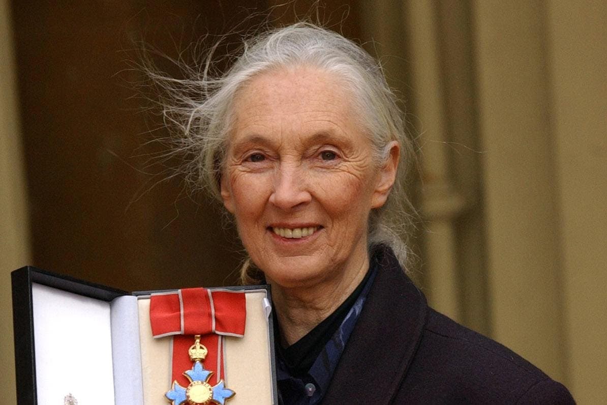 David Attenborough hails Jane Goodall as a ‘tireless advocate’ for chimpanzees
