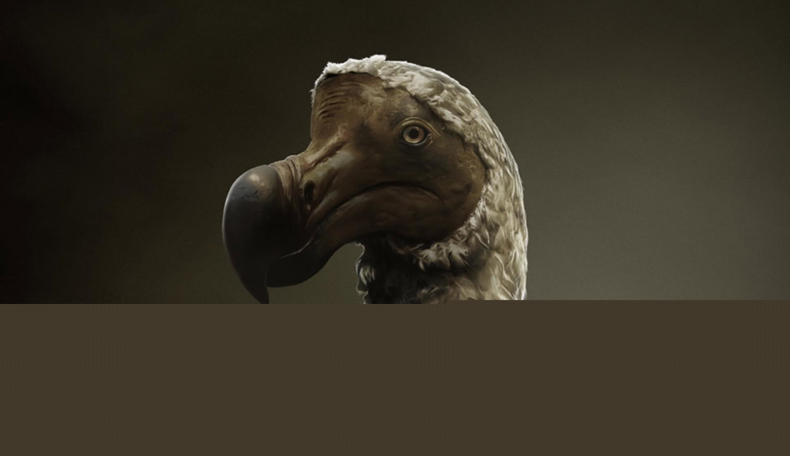 Scientists Are Closer to Reviving the Long-Lost Dodo with New Landmark Avian Genetics Breakthrough