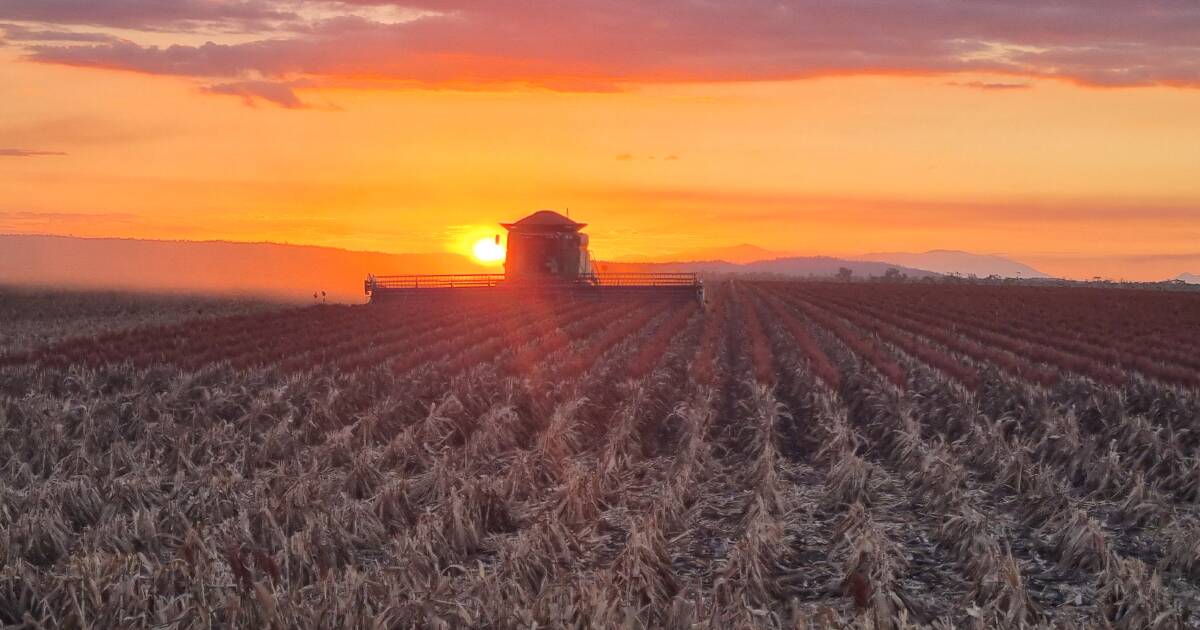 Highly productive agricultural gem Mintram Farms hits the market | Video