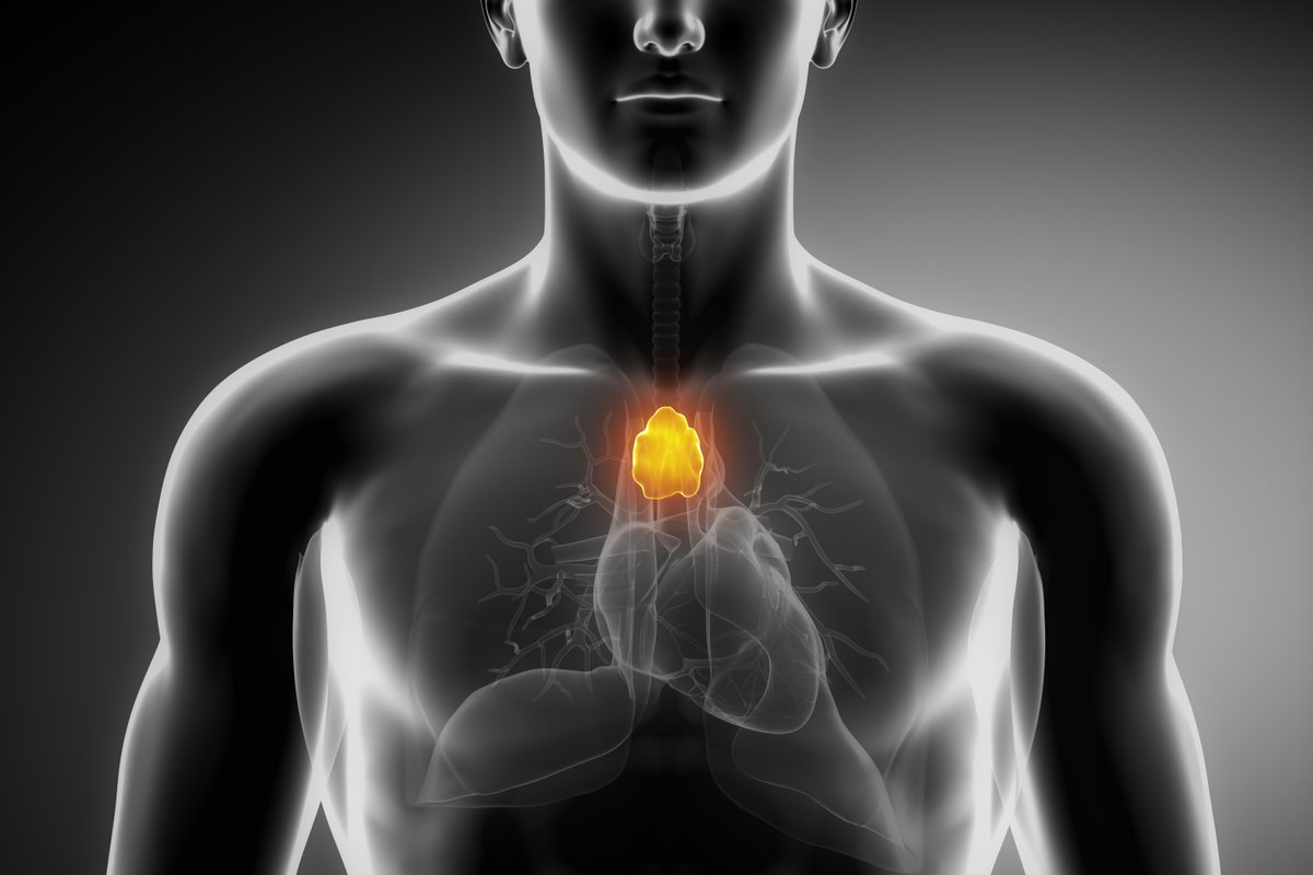 This tiny, forgotten organ could help us live longer, healthier