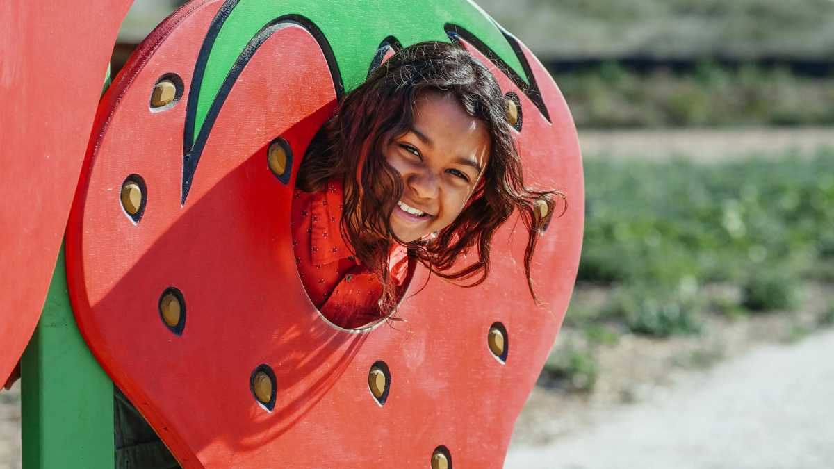 Free Kid and Family Activities in NYC: 10 Free Things to Do This Week
