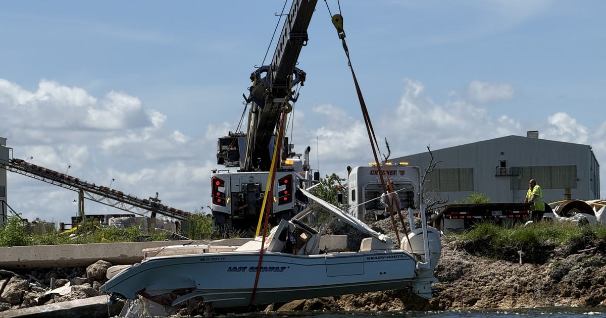 FWC investigates fatal Tampa Bay boat crash near Picnic Island Park