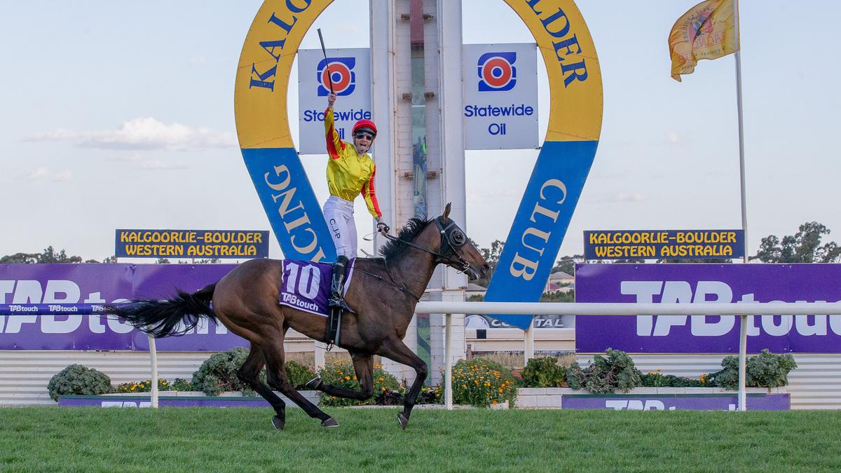 Flamboyant salute hails brilliant win by Vast Art