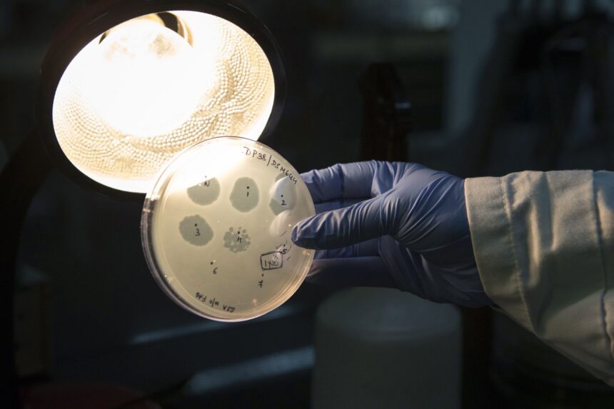AI creates 16 new viruses from scratch, showing promise for drug resistance and drawing warnings about potential for misuse