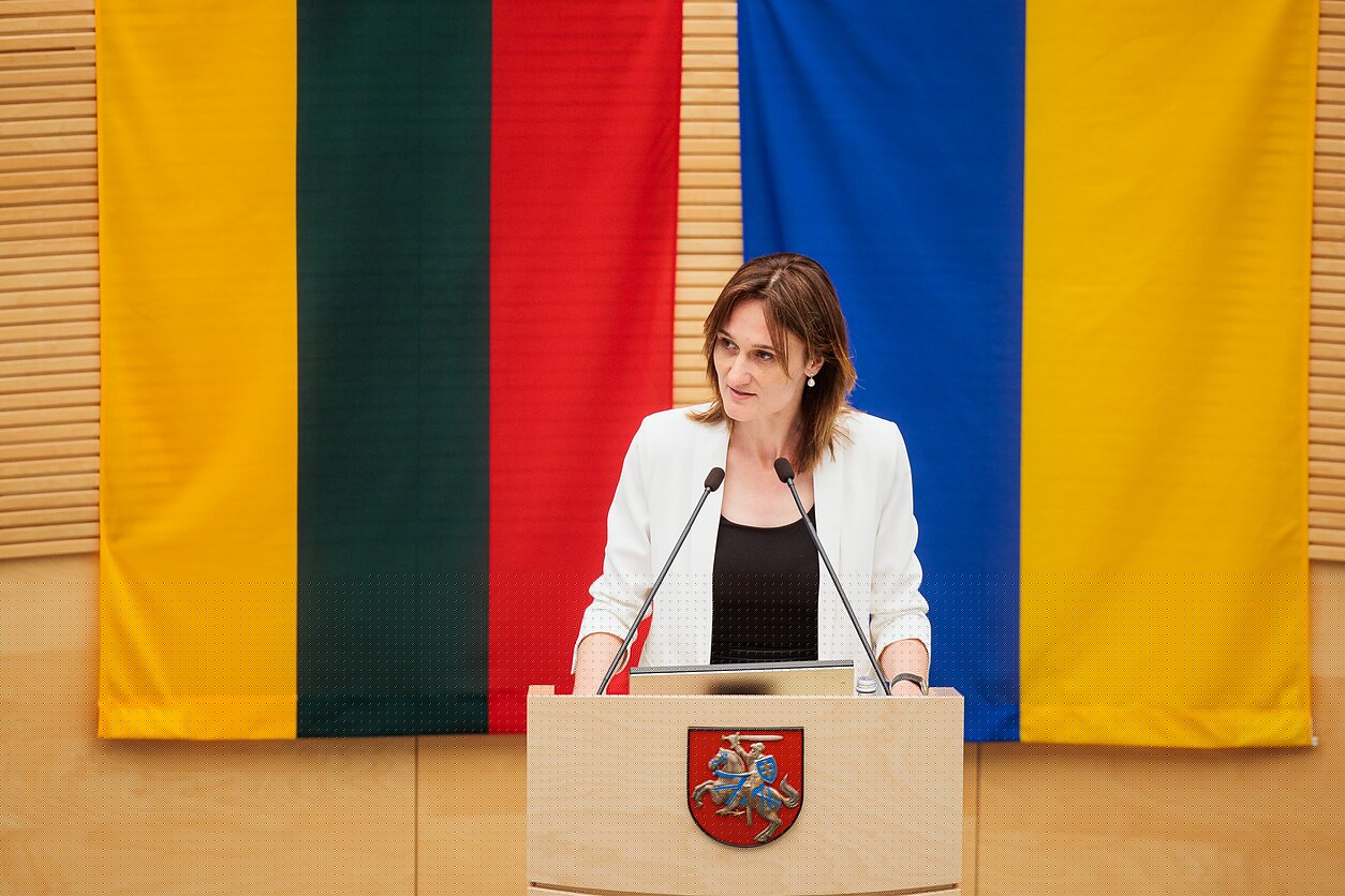Čmilytė-Nielsen neatmeta idėjos kandidatuoti į prezidentus