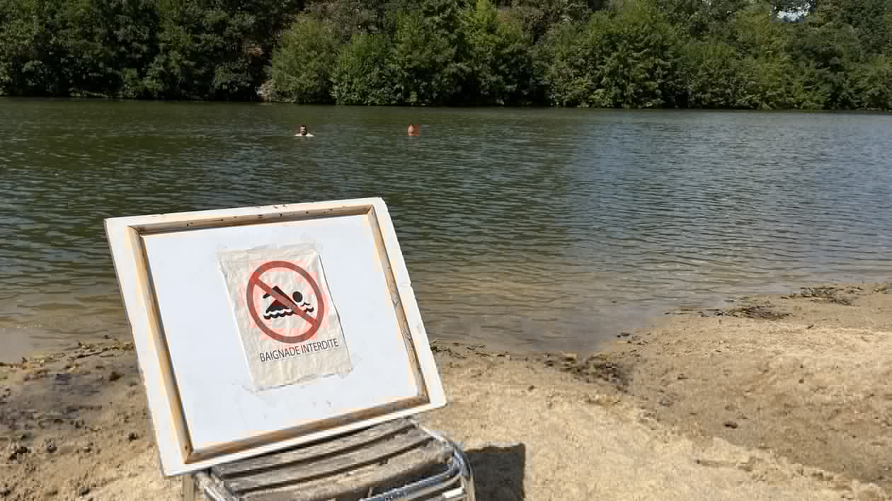 « On les remarque particulièrement cet été » : les cyanobactéries continuent de proliférer en Maine-et-Loire