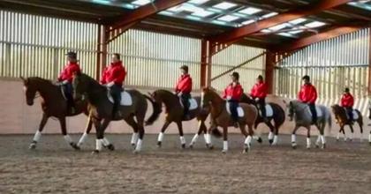 'Vital' Farnham riding school could close over plans to build 49 homes