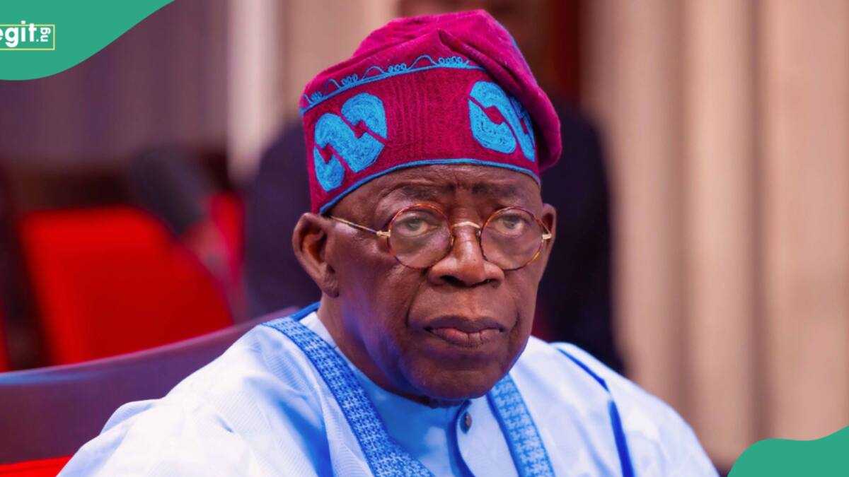 Watch video: APC, ADC members clash over Tinubu's credentials