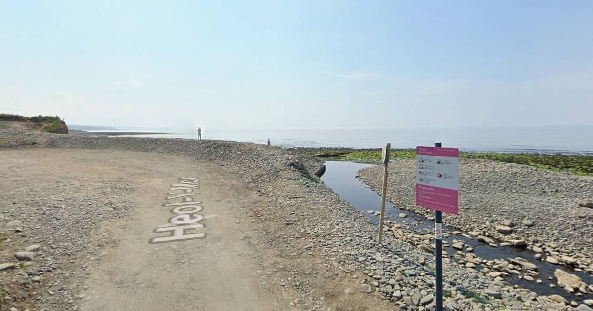 Ferocious dog attacks man on the beach and leaves victim with 'serious injury'