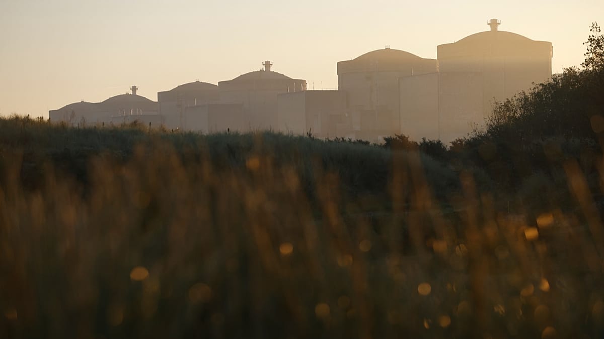 Por un aflujo de medusas, EDF detiene 3 reactores en la central de Gravelines