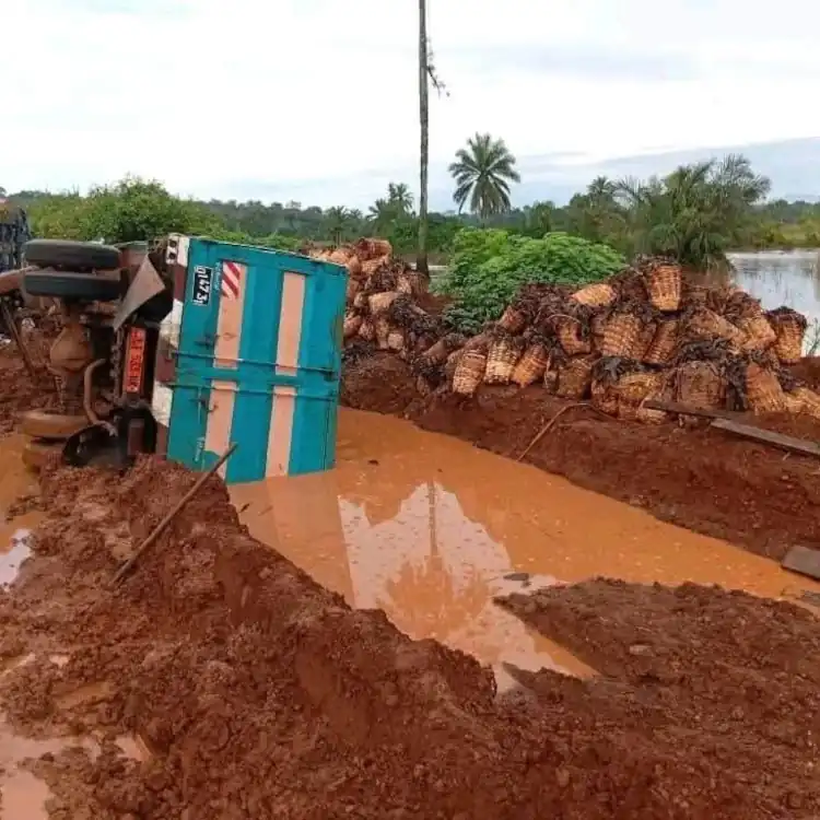 - Cameroun : la route qui fait pourrir les tomates