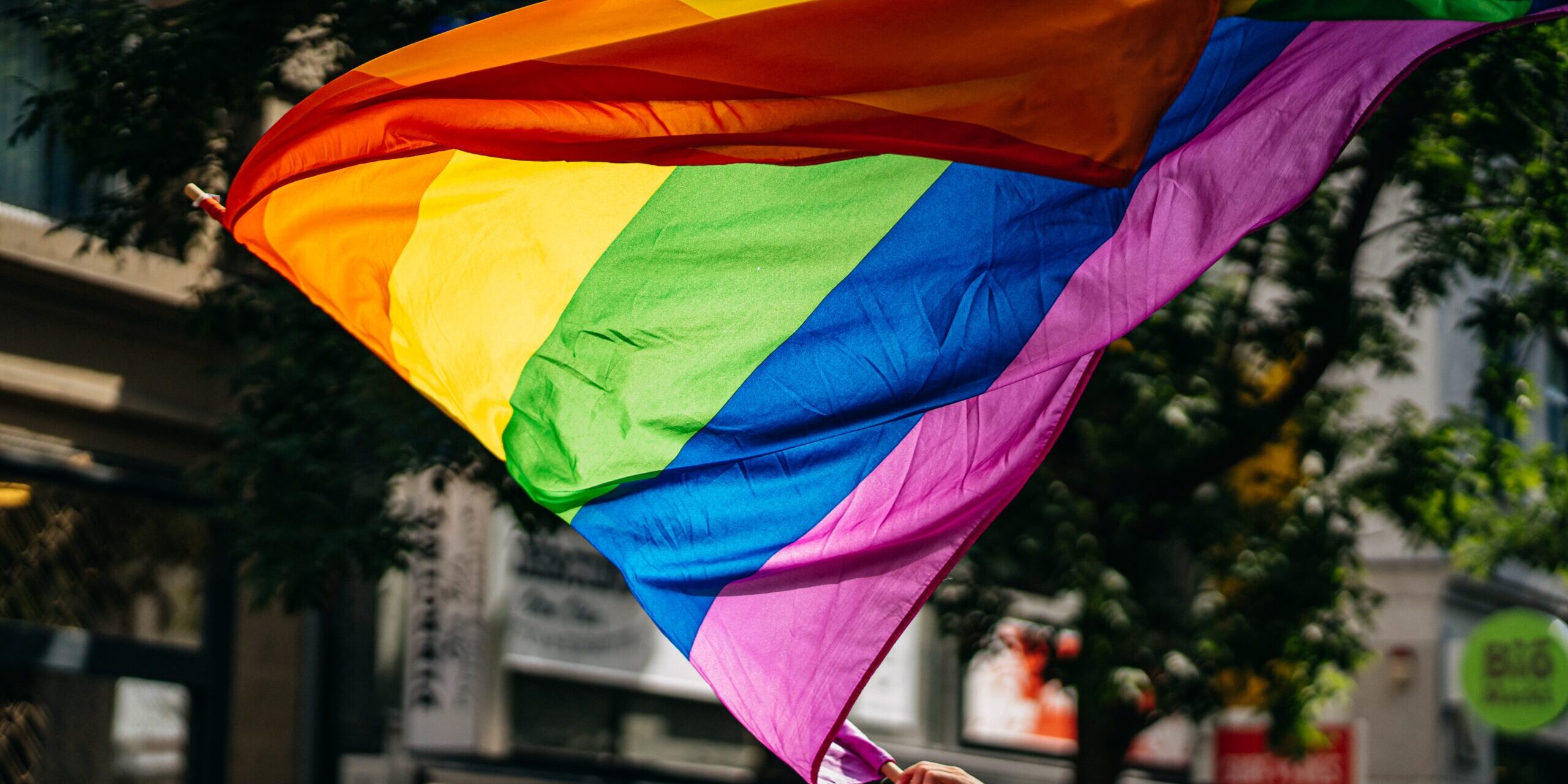 How can 2SLGBTQIA+ professionals overcome workplace barriers while advancing policy protections?