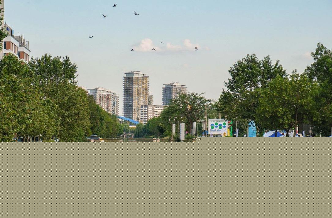 Bucharest City Hall launches free kayaking on Dâmbovița river