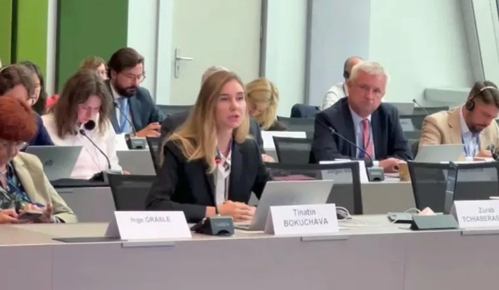Georgia’s Bokuchava briefs European allies on political situation, urges support