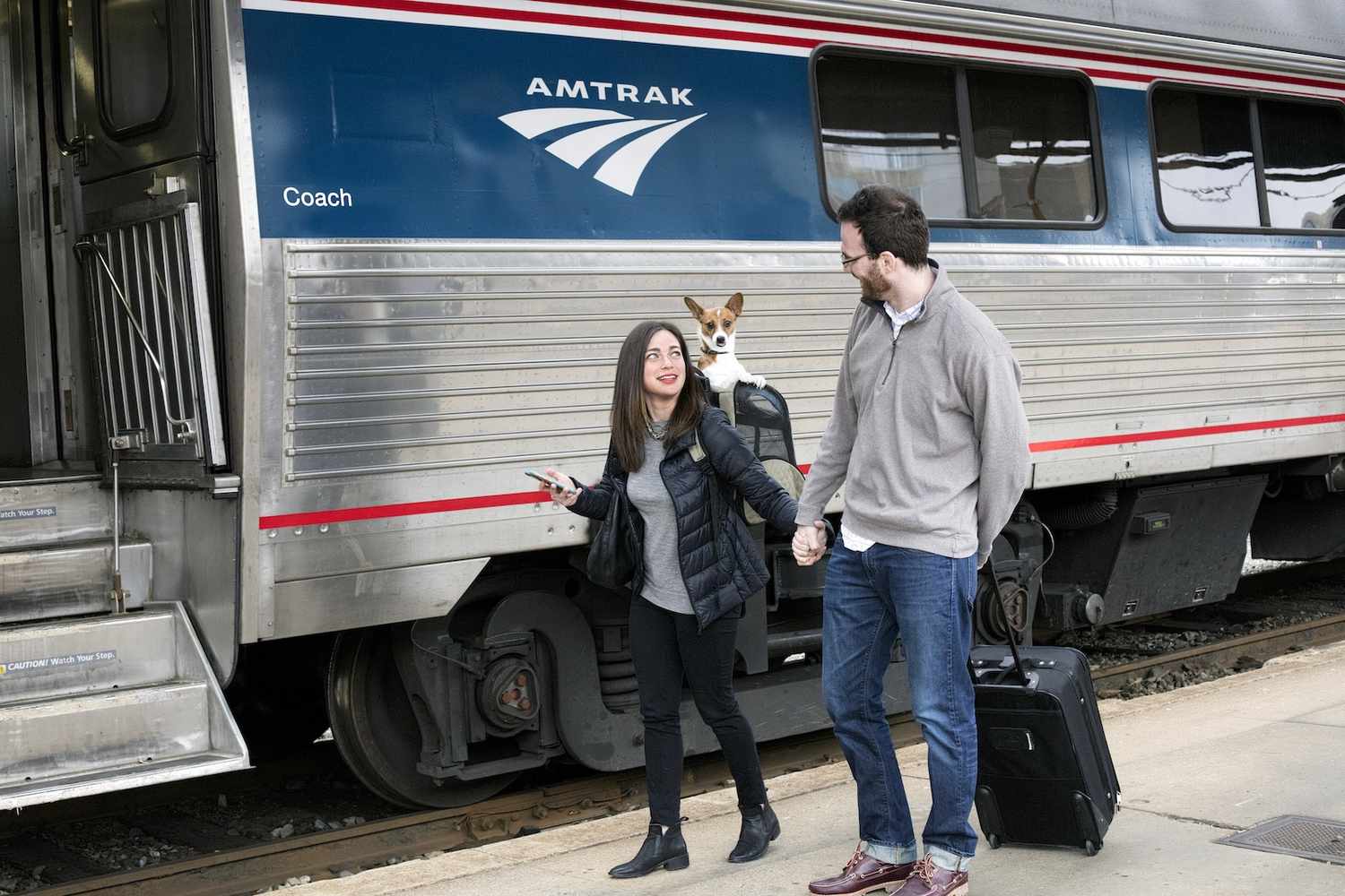 Cómo viajar con tu mascota en tren de forma cómoda y sin estrés