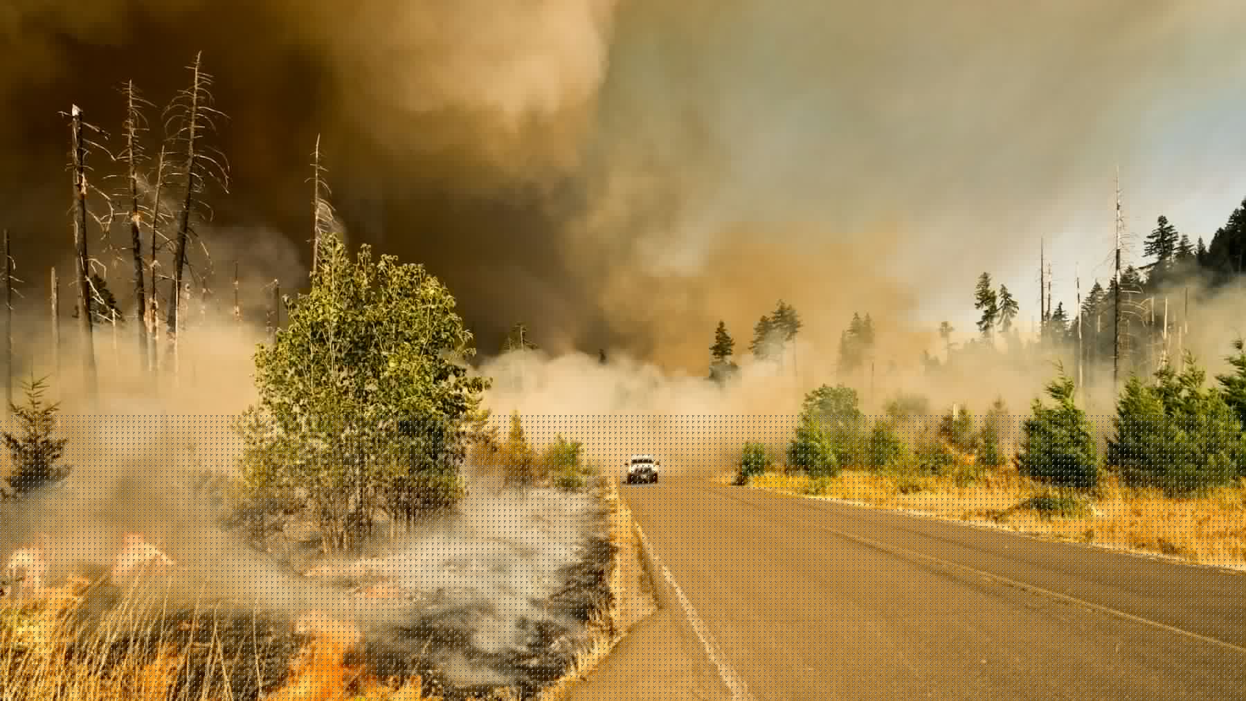 El PNUMA insta a incrementar la inversión en resiliencia y adaptación para salvar vidas ante desastres naturales