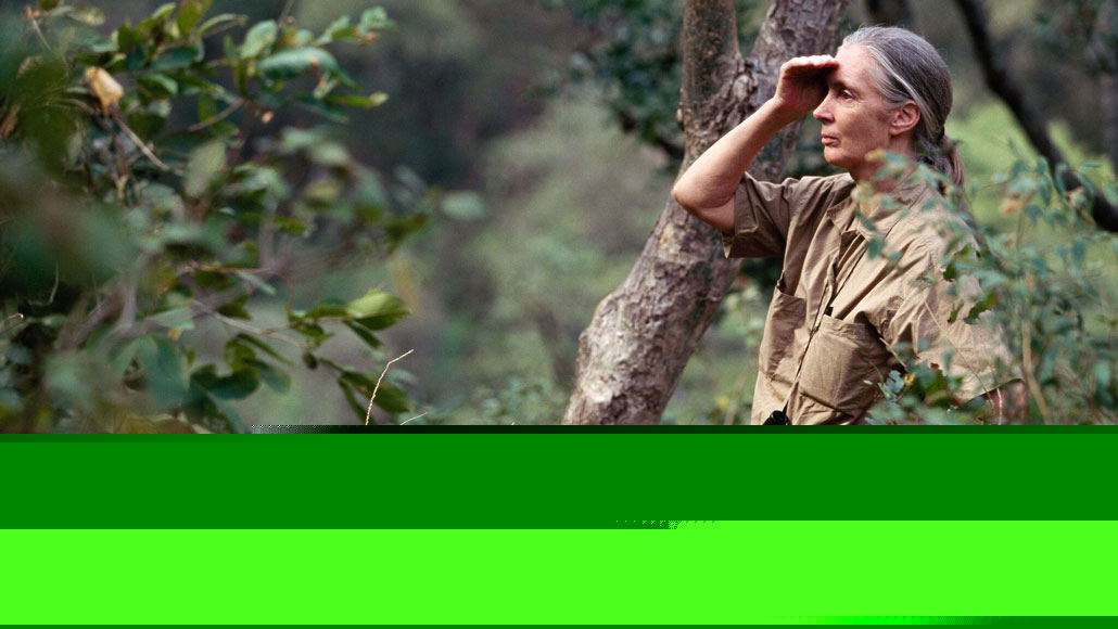 Comment on A new exhibit invites you to step into Jane Goodall’s life by Jane Goodall: Lessons on Life, Loss & Respecting Remains - World Today Journal