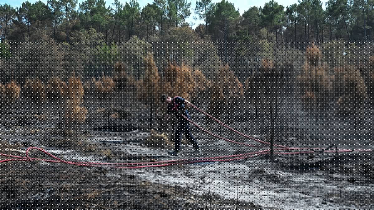 DIRECT. Incendies : le feu dans l'Aude est contenu mais la vigilance reste de mise, Sébastien Lecornu se rendra en Gironde le 17 août