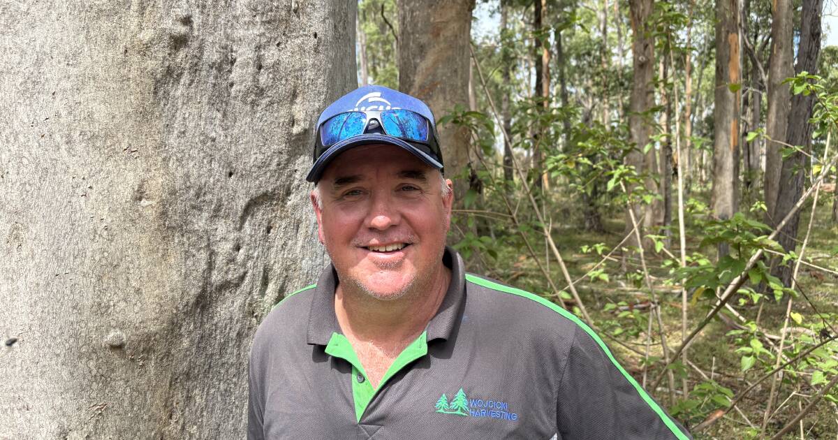 'Knee-capped': farmers caught in costly council, native forestry red tape