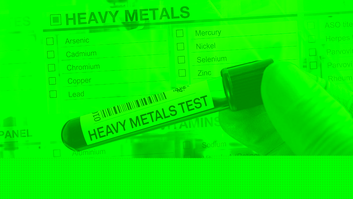 Does your body absorb heavy metals? Bioavailability explained