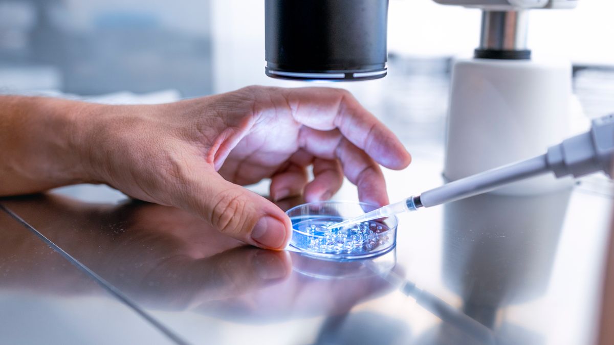 Künstliche Befruchtung: Frau bekommt in Italien falschen Embryo eingesetzt
