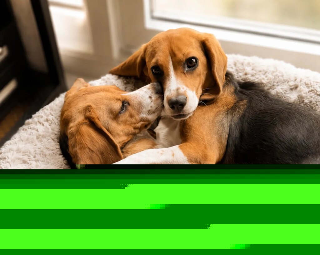 Gene-Edited Puppies Will Melt Your Heart—but Won’t Trigger Your Allergies