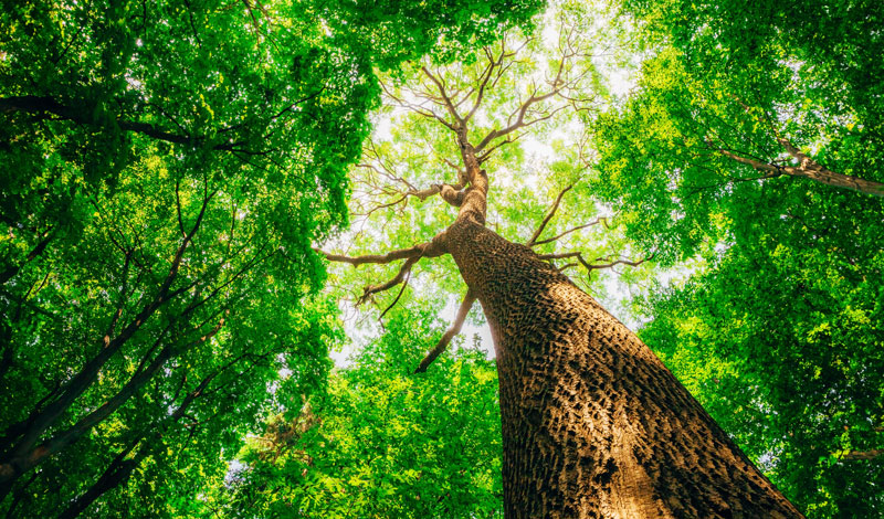 Turning Illness Into an Impetus for Growth