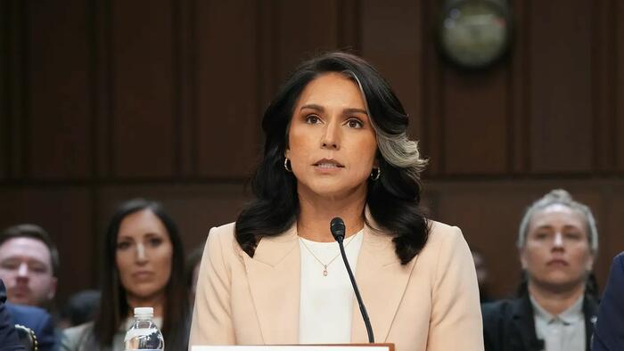 Not Only Tulsi: Three Members Of Congress Also Spied On In Quiet Skies Program