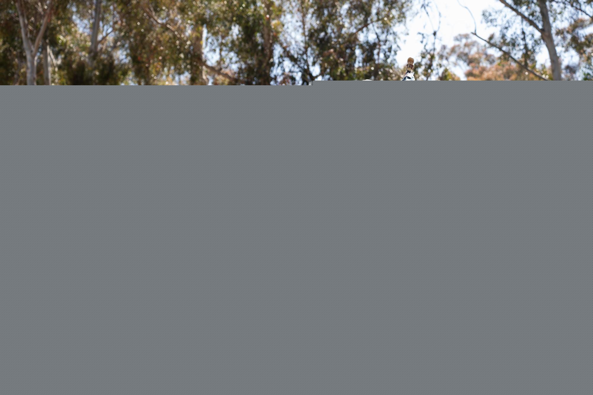 UC President Drake announces ban on student government boycotts against Israel