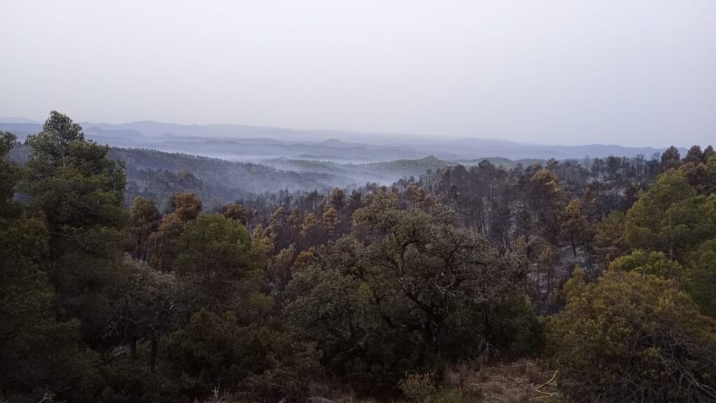 Els bombers estabilitzen el perímetre de l’incendi al Matarranya, que ha afectat 82 hectàrees