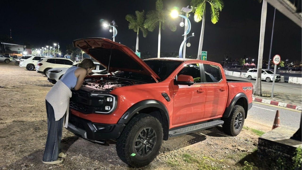 Stray dogs blamed for 100k baht damage to pickup in Pattaya
