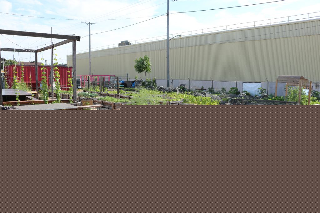 Now Serving: A Late-Summer Urban Garden Party