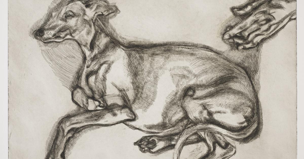 Major exhibition with rare artworks coming to Dorset museum