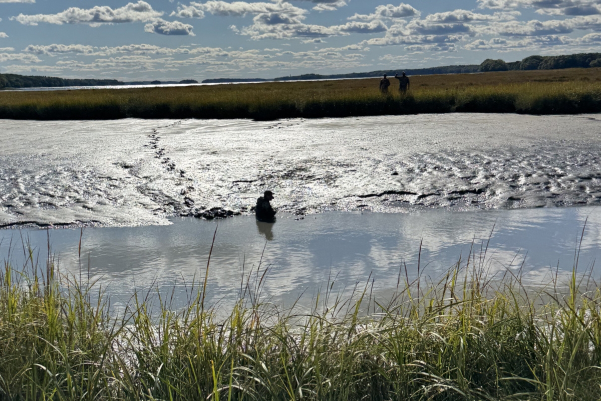 Duck hunter rescued after sinking to waist in Brunswick mudflats