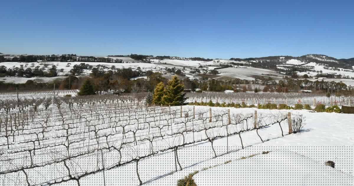 Bare peaks and mild nights: are our legendary snowy winters gone for good?