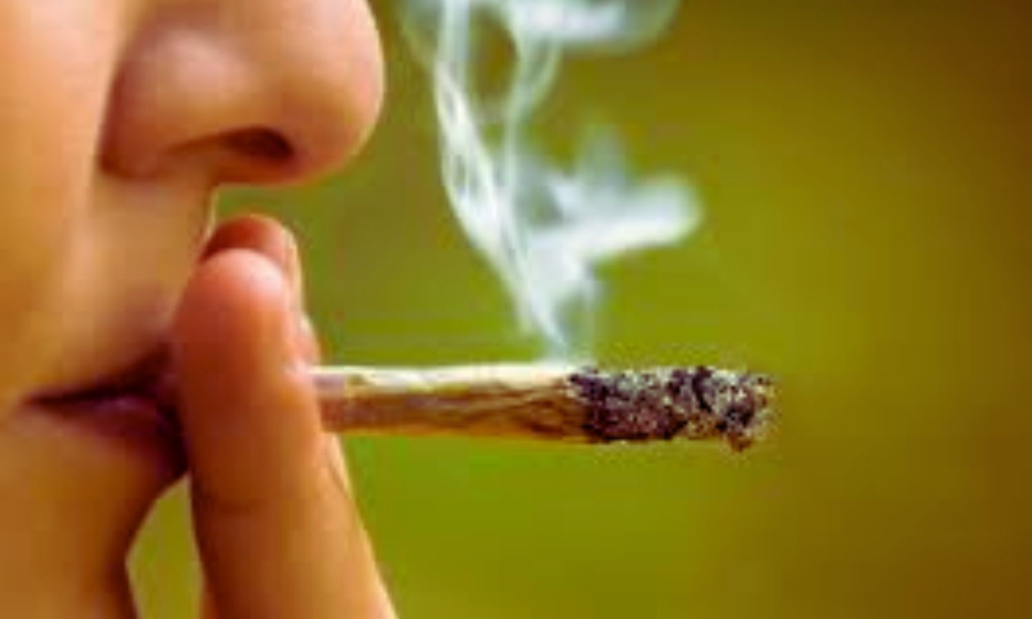 Daily Inhaled Cannabis Linked to Higher Asthma and COPD Risk: Study