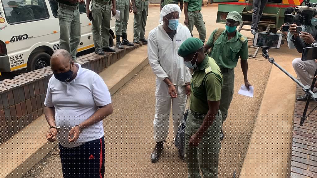 31 July Plot: The Hidden Reason Why Job Sikhala’s New Protest Movement is Different This Time