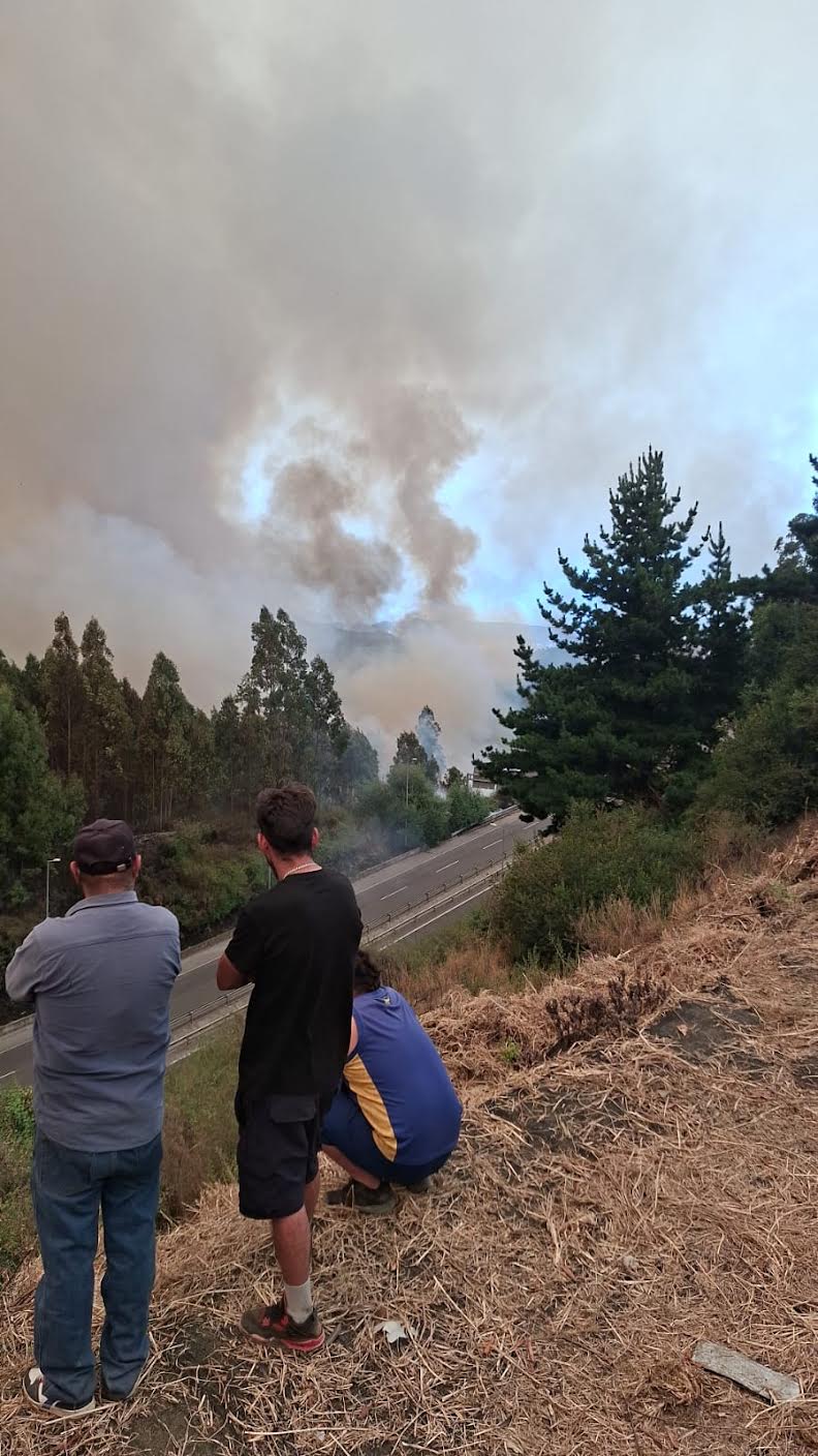 Fragile Memory: A Risk Factor Behind the Fires in Penco, Chile