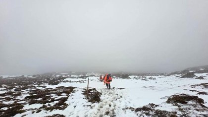 Rescue operation under way on Cradle Mountain after hikers with mild hypothermia activate emergency beacon