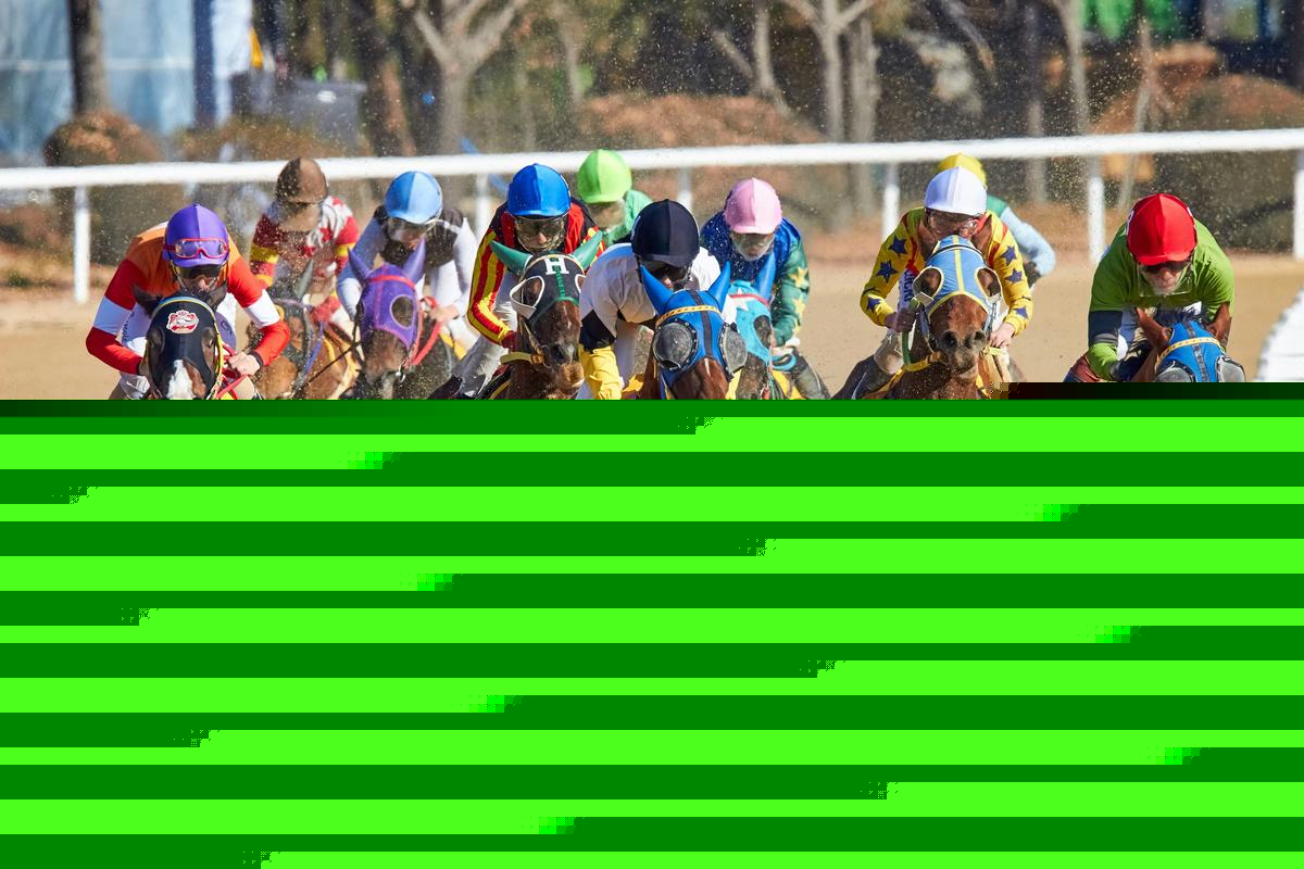 Chicagoland Horse Racing Track to Close After 135 Years